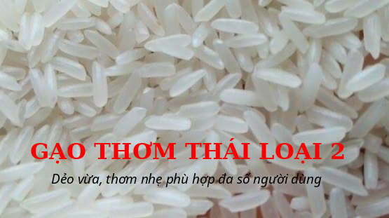 gao thom thai
